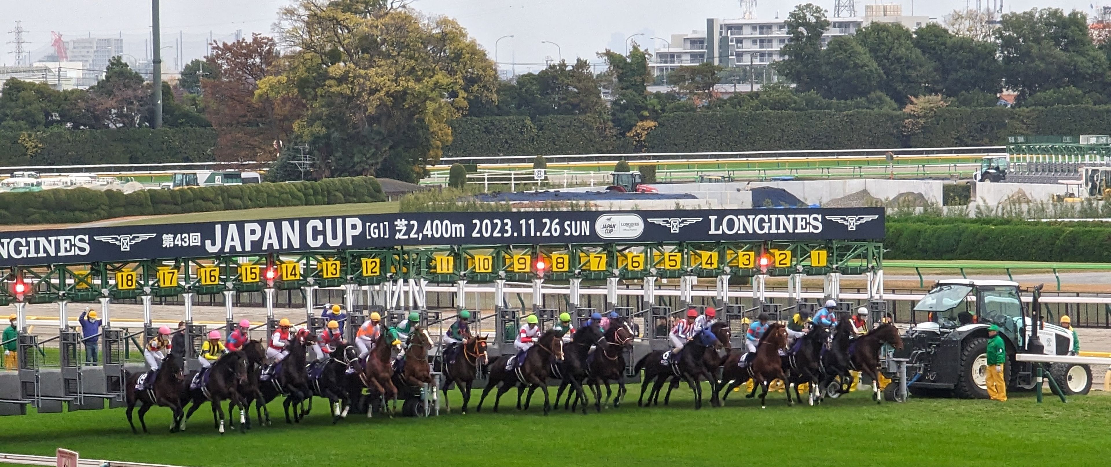 第 70 回 有馬記念 予想